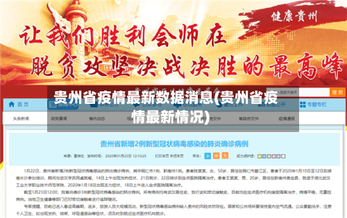 贵州省疫情最新数据消息(贵州省疫情最新情况)-第3张图片