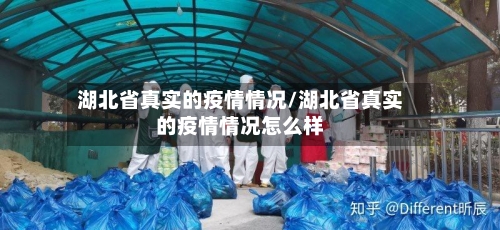 湖北省真实的疫情情况/湖北省真实的疫情情况怎么样-第2张图片