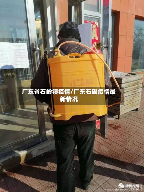 广东省石岭镇疫情/广东石碣疫情最新情况-第3张图片