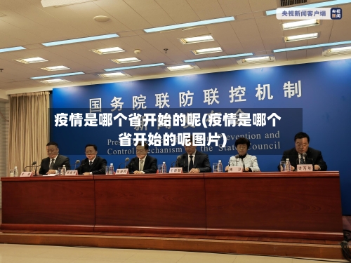 疫情是哪个省开始的呢(疫情是哪个省开始的呢图片)-第3张图片