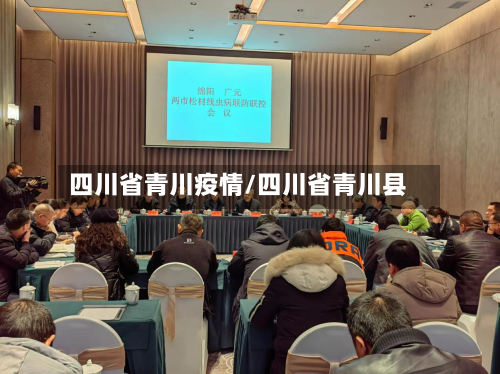 四川省青川疫情/四川省青川县-第1张图片