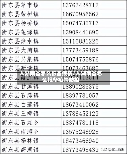 入湖南省怎么报备疫情/入湖南省怎么报备疫情防控-第2张图片