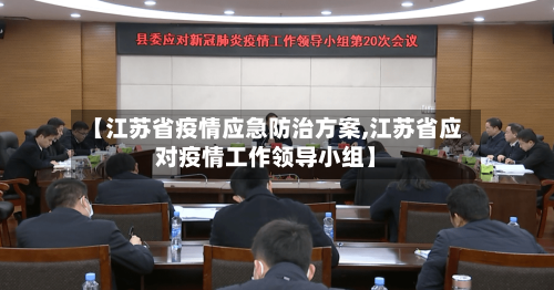 【江苏省疫情应急防治方案,江苏省应对疫情工作领导小组】-第1张图片
