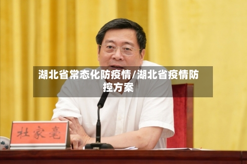 湖北省常态化防疫情/湖北省疫情防控方案-第2张图片