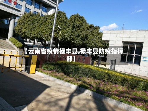 【云南省疫情禄丰县,禄丰县防疫指挥部】-第2张图片