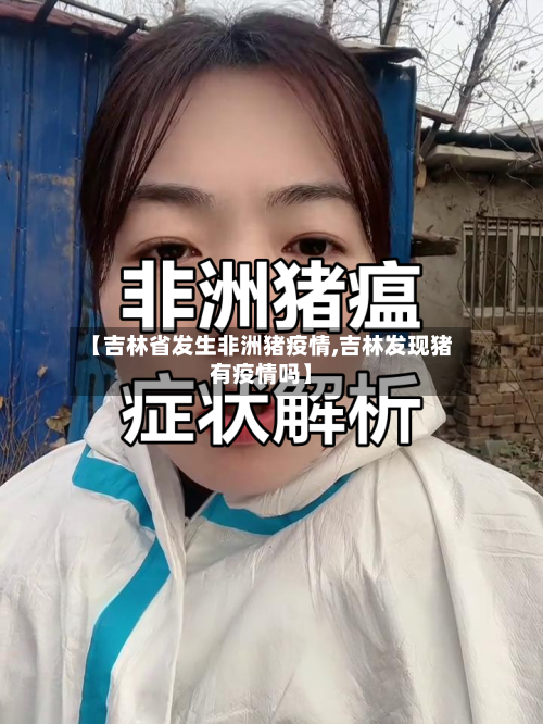 【吉林省发生非洲猪疫情,吉林发现猪有疫情吗】-第1张图片