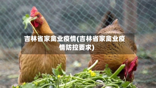 吉林省家禽业疫情(吉林省家禽业疫情防控要求)-第1张图片