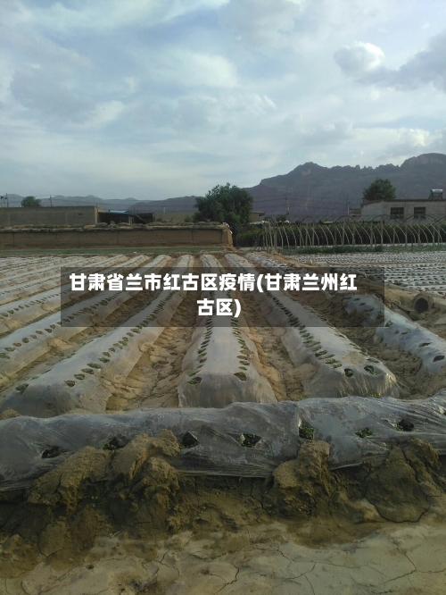 甘肃省兰市红古区疫情(甘肃兰州红古区)-第3张图片