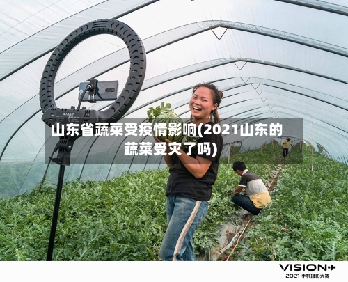 山东省蔬菜受疫情影响(2021山东的蔬菜受灾了吗)-第2张图片