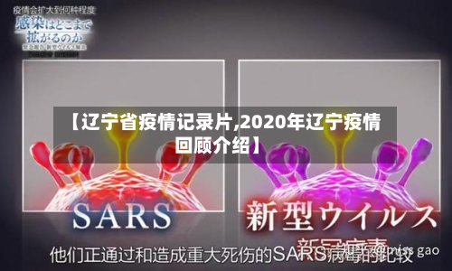 【辽宁省疫情记录片,2020年辽宁疫情回顾介绍】-第2张图片