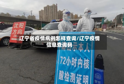 辽宁省疫情病例怎样查询/辽宁疫情信息查询码-第2张图片