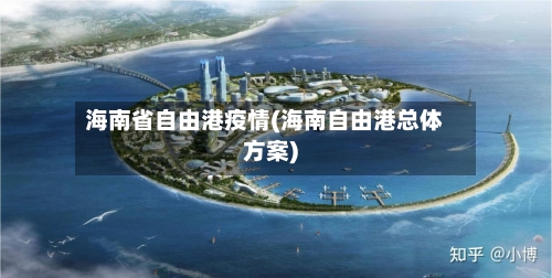 海南省自由港疫情(海南自由港总体方案)-第2张图片