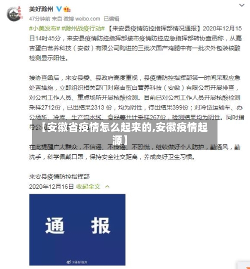 【安徽省疫情怎么起来的,安徽疫情起源】-第2张图片