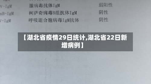 【湖北省疫情29日统计,湖北省22日新增病例】-第1张图片