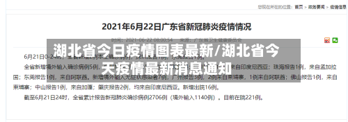 湖北省今日疫情图表最新/湖北省今天疫情最新消息通知-第2张图片