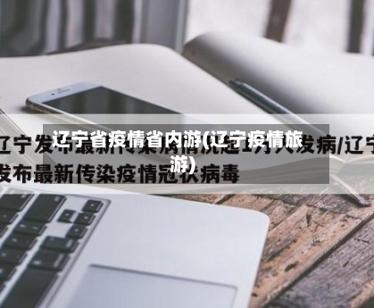 辽宁省疫情省内游(辽宁疫情旅游)-第3张图片