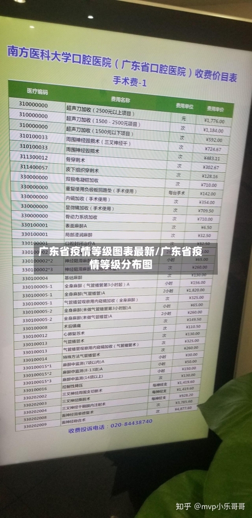 广东省疫情等级图表最新/广东省疫情等级分布图-第2张图片