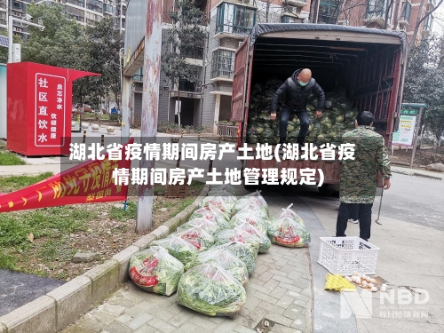 湖北省疫情期间房产土地(湖北省疫情期间房产土地管理规定)-第1张图片