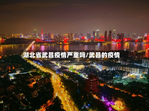 湖北省武昌疫情严重吗/武昌的疫情-第3张图片