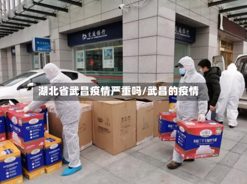 湖北省武昌疫情严重吗/武昌的疫情-第1张图片