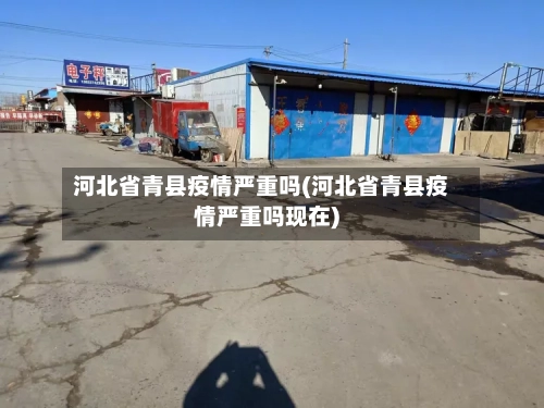 河北省青县疫情严重吗(河北省青县疫情严重吗现在)-第2张图片