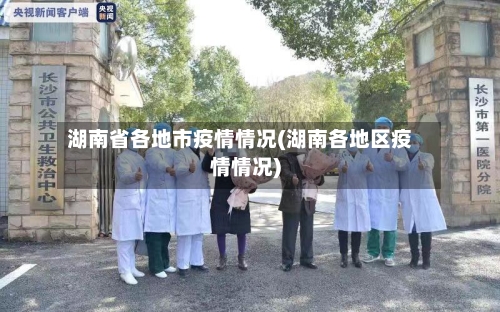 湖南省各地市疫情情况(湖南各地区疫情情况)-第2张图片