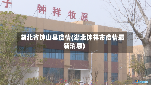 湖北省钟山县疫情(湖北钟祥市疫情最新消息)-第2张图片