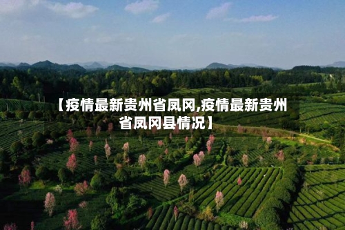 【疫情最新贵州省凤冈,疫情最新贵州省凤冈县情况】-第2张图片