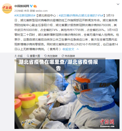 湖北省疫情在哪里查/湖北省疫情报告-第2张图片