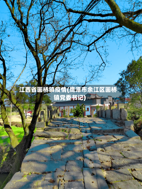 江西省画桥镇疫情(鹰潭市余江区画桥镇党委书记)-第1张图片