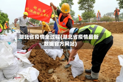 湖北省疫情全过程(湖北省疫情最新数据官方网站)-第1张图片