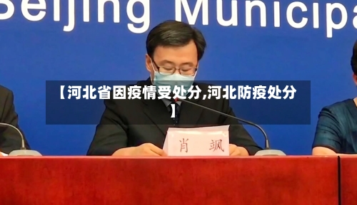 【河北省因疫情受处分,河北防疫处分】-第3张图片