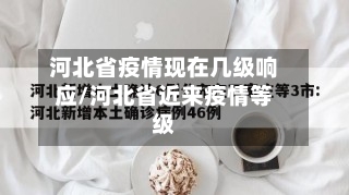 河北省疫情现在几级响应/河北省近来疫情等级-第1张图片