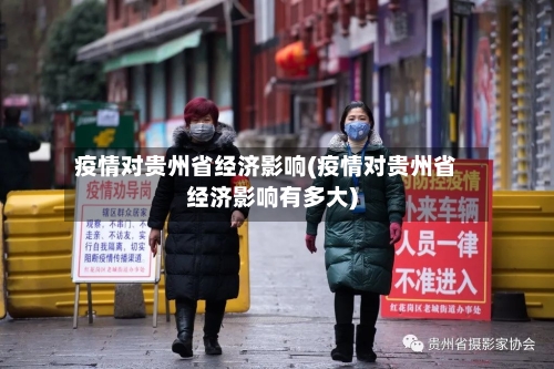 疫情对贵州省经济影响(疫情对贵州省经济影响有多大)-第1张图片