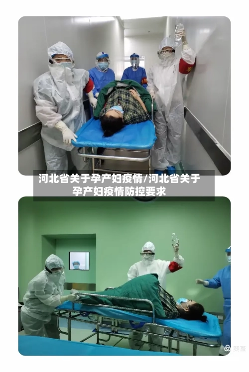 河北省关于孕产妇疫情/河北省关于孕产妇疫情防控要求-第1张图片
