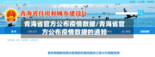 青海省官方公布疫情数据/青海省官方公布疫情数据的通知-第3张图片