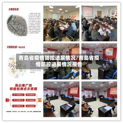 青岛省疫情防控进展情况/青岛省疫情防控进展情况报告-第2张图片