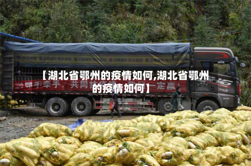 【湖北省鄂州的疫情如何,湖北省鄂州的疫情如何】-第1张图片