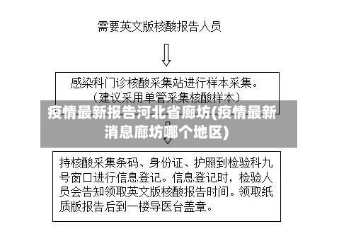 疫情最新报告河北省廊坊(疫情最新消息廊坊哪个地区)-第2张图片