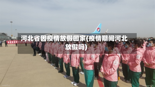 河北省因疫情放假回家(疫情期间河北放假吗)-第2张图片