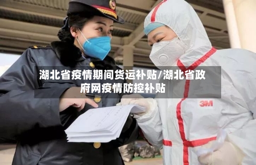 湖北省疫情期间货运补贴/湖北省政府网疫情防控补贴-第1张图片