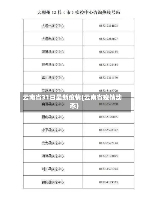 云南省31日最新疫情(云南省疫情动态)-第1张图片