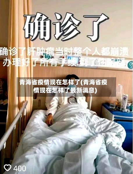 青海省疫情现在怎样了(青海省疫情现在怎样了最新消息)-第1张图片