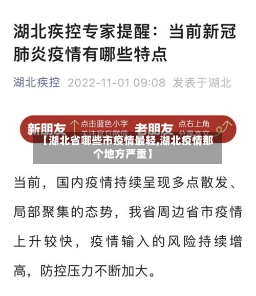 【湖北省哪些市疫情最轻,湖北疫情那个地方严重】-第2张图片