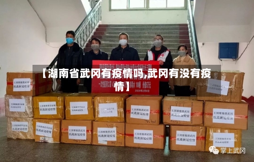【湖南省武冈有疫情吗,武冈有没有疫情】-第3张图片