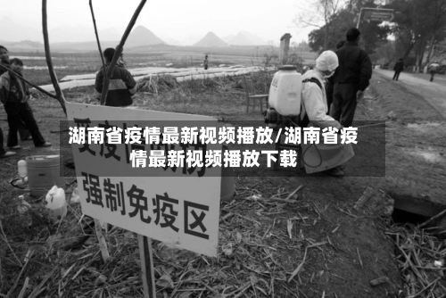 湖南省疫情最新视频播放/湖南省疫情最新视频播放下载-第2张图片