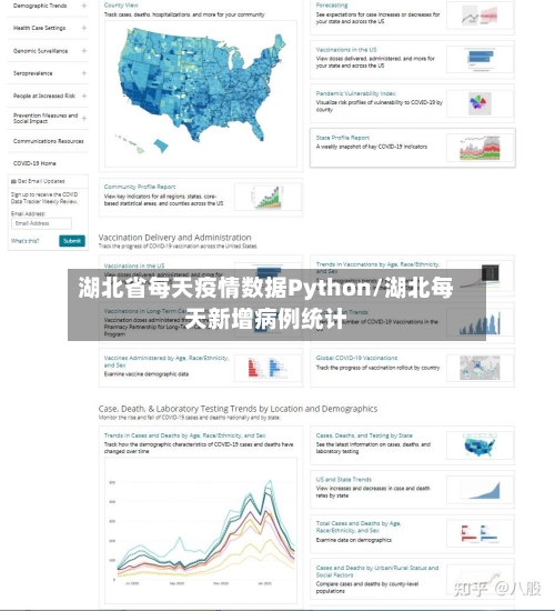 湖北省每天疫情数据Python/湖北每天新增病例统计-第2张图片