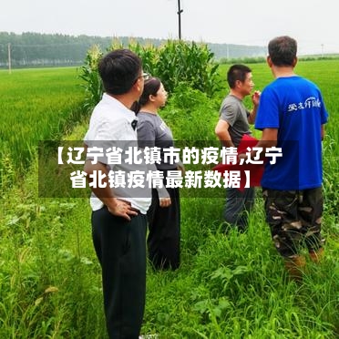【辽宁省北镇市的疫情,辽宁省北镇疫情最新数据】-第1张图片