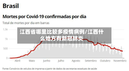 江西省哪里比较多疫情病例/江西什么地方有新冠肺炎-第2张图片