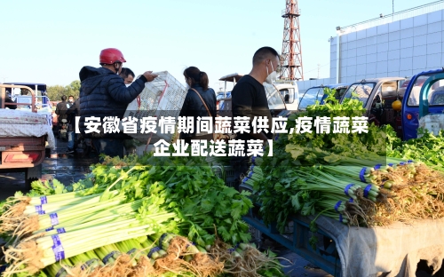 【安徽省疫情期间蔬菜供应,疫情蔬菜企业配送蔬菜】-第1张图片